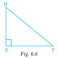 Page 159 Chapter 6 Class 7th NCERT Exemplar Page 159 Chapter 6 Class 7th NCERT Exemplar